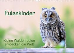 Eulenkinder - Kleine Waldohreulen entdecken die Welt (Wandkalender 2023 DIN A3 quer)