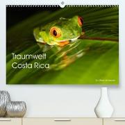 Traumwelt Costa Rica (Premium, hochwertiger DIN A2 Wandkalender 2023, Kunstdruck in Hochglanz)