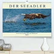 DER SEEADLER Ein Portrait des größten Greifvogels Mitteleuropas (Premium, hochwertiger DIN A2 Wandkalender 2023, Kunstdruck in Hochglanz)