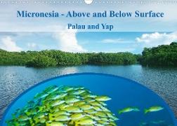 Micronesia - Above and Below Surface (Wall Calendar 2023 DIN A3 Landscape)