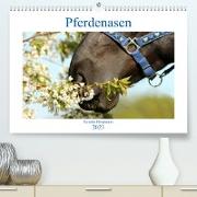 Pferdenasen (Premium, hochwertiger DIN A2 Wandkalender 2023, Kunstdruck in Hochglanz)