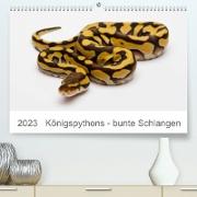 Königspythons - bunte Schlangen (Premium, hochwertiger DIN A2 Wandkalender 2023, Kunstdruck in Hochglanz)