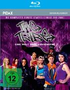 The Tribe - Staffel 5