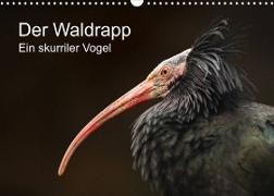 Der Waldrapp - Ein skurriler Vogel (Wandkalender 2023 DIN A3 quer)