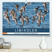 Limikolen - Watvögel am norddeutschen Wattenmeer (Premium, hochwertiger DIN A2 Wandkalender 2023, Kunstdruck in Hochglanz)