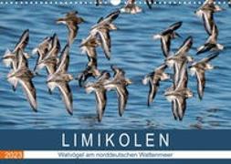 Limikolen - Watvögel am norddeutschen Wattenmeer (Wandkalender 2023 DIN A3 quer)