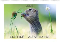 Lustige Zieselbabys (Wandkalender 2023 DIN A2 quer)