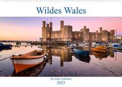 Wildes Wales (Wandkalender 2023 DIN A2 quer)