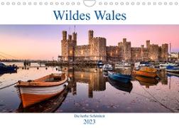 Wildes Wales (Wandkalender 2023 DIN A4 quer)