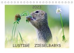 Lustige Zieselbabys (Tischkalender 2023 DIN A5 quer)