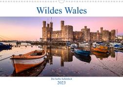 Wildes Wales (Wandkalender 2023 DIN A3 quer)