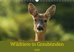 Wildtiere in GraubündenCH-Version (Wandkalender 2023 DIN A3 quer)