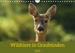 Wildtiere in GraubündenCH-Version (Wandkalender 2023 DIN A4 quer)