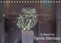 Zu Besuch bei Familie Steinkauz (Tischkalender 2023 DIN A5 quer)
