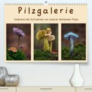Pilzgalerie - Eindrucksvolle Aufnahmen von unseren heimischen Pilzen (Premium, hochwertiger DIN A2 Wandkalender 2023, Kunstdruck in Hochglanz)