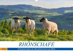 Rhönschafe - Symphatieträger des Biosphärenreservats Rhön (Wandkalender 2023 DIN A3 quer)