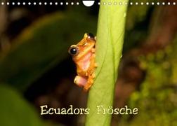 Ecuadors Frösche (Wandkalender 2023 DIN A4 quer)