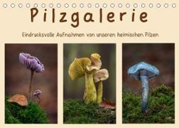 Pilzgalerie - Eindrucksvolle Aufnahmen von unseren heimischen Pilzen (Tischkalender 2023 DIN A5 quer)