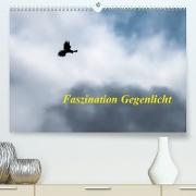 Faszination Gegenlicht (Premium, hochwertiger DIN A2 Wandkalender 2023, Kunstdruck in Hochglanz)