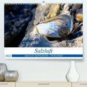 Salzluft (Premium, hochwertiger DIN A2 Wandkalender 2023, Kunstdruck in Hochglanz)