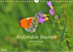 Gefährdete Insekten - unsere Nützlinge (Wandkalender 2023 DIN A4 quer)