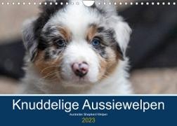 Australian Shepherd Welpen 2023 (Wandkalender 2023 DIN A4 quer)