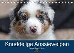 Australian Shepherd Welpen 2023 (Tischkalender 2023 DIN A5 quer)