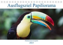 Ausflugsziel Papiliorama (Tischkalender 2023 DIN A5 quer)