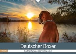 Deutscher Boxer (Wandkalender 2023 DIN A3 quer)