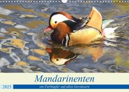 Mandarinenten, ein Farbtupfer auf allen Gewässern. (Wandkalender 2023 DIN A3 quer)