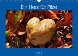 Ein Herz für Pilze (Wandkalender 2023 DIN A3 quer)