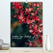 Kalender - Natur im Detail (Premium, hochwertiger DIN A2 Wandkalender 2023, Kunstdruck in Hochglanz)