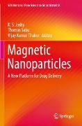 Magnetic Nanoparticles