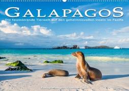 Die faszinierende Tierwelt der Galapagos-Inseln (Wandkalender 2023 DIN A2 quer)