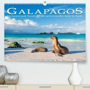 Die faszinierende Tierwelt der Galapagos-Inseln (Premium, hochwertiger DIN A2 Wandkalender 2023, Kunstdruck in Hochglanz)