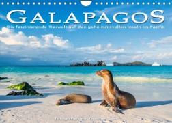 Die faszinierende Tierwelt der Galapagos-Inseln (Wandkalender 2023 DIN A4 quer)