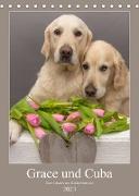 Grace und Cuba - Zwei liebenswerte Golden Retriever (Tischkalender 2023 DIN A5 hoch)