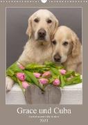 Grace und Cuba - Zwei liebenswerte Golden Retriever (Wandkalender 2023 DIN A3 hoch)