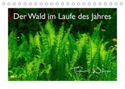 Der Wald im Laufe des Jahres (Tischkalender 2023 DIN A5 quer)