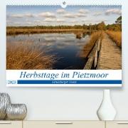 Herbsttage im Pietzmoor - Lüneburger Heide (Premium, hochwertiger DIN A2 Wandkalender 2023, Kunstdruck in Hochglanz)