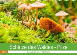 Schätze des Waldes - Pilze (Wandkalender 2023 DIN A2 quer)