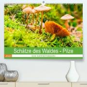Schätze des Waldes - Pilze (Premium, hochwertiger DIN A2 Wandkalender 2023, Kunstdruck in Hochglanz)