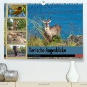 Tierische Augenblicke in Südafrika (Premium, hochwertiger DIN A2 Wandkalender 2023, Kunstdruck in Hochglanz)