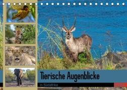 Tierische Augenblicke in Südafrika (Tischkalender 2023 DIN A5 quer)