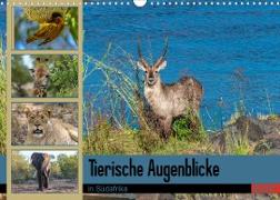 Tierische Augenblicke in Südafrika (Wandkalender 2023 DIN A3 quer)