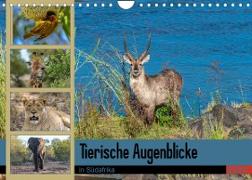 Tierische Augenblicke in Südafrika (Wandkalender 2023 DIN A4 quer)