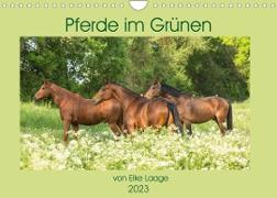 Pferde im Grünen (Wandkalender 2023 DIN A4 quer)
