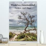 Wunderbare Ostseelandschaft Fischland-Darß-Zingst (Premium, hochwertiger DIN A2 Wandkalender 2023, Kunstdruck in Hochglanz)