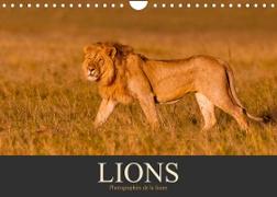 Lions ¿ Photographies de la faune (Calendrier mural 2023 DIN A4 horizontal)