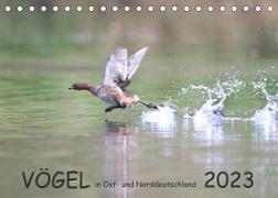 Vögel in Ost- und Norddeutschland 2023 (Tischkalender 2023 DIN A5 quer)